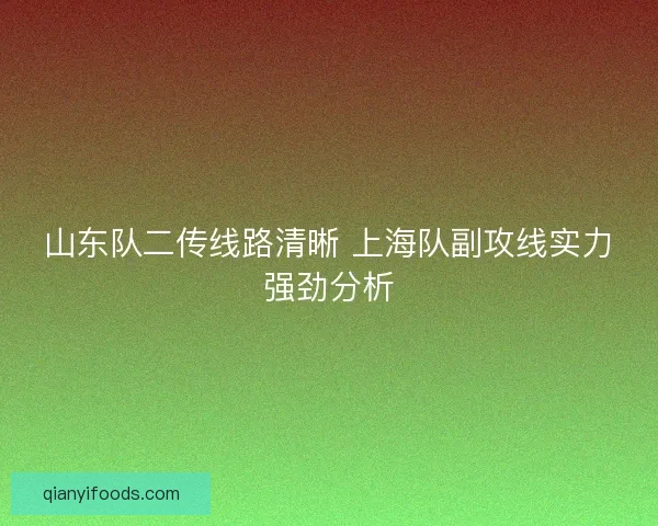 山东队二传线路清晰 上海队副攻线实力强劲分析