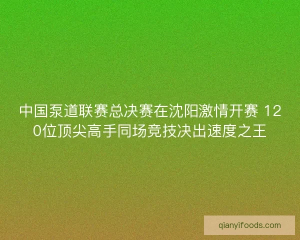 中国泵道联赛总决赛在沈阳激情开赛 120位顶尖高手同场竞技决出速度之王