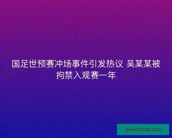 国足世预赛冲场事件引发热议 吴某某被拘禁入观赛一年